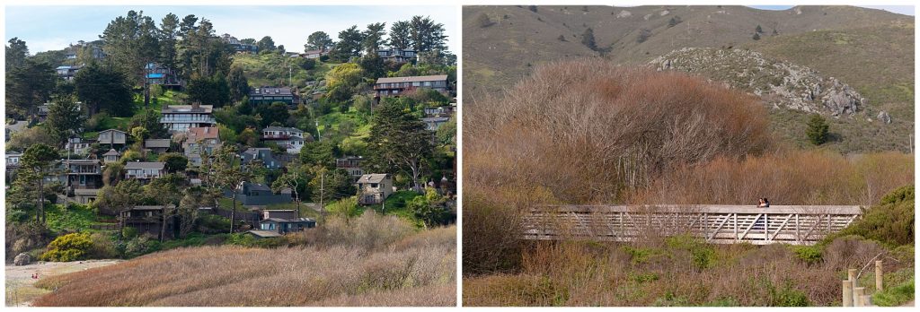 muir beach muir wood engagement session jen vazquez photography