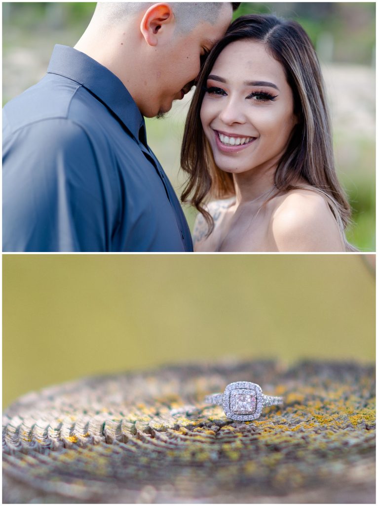 muir beach muir wood engagement session jen vazquez photography