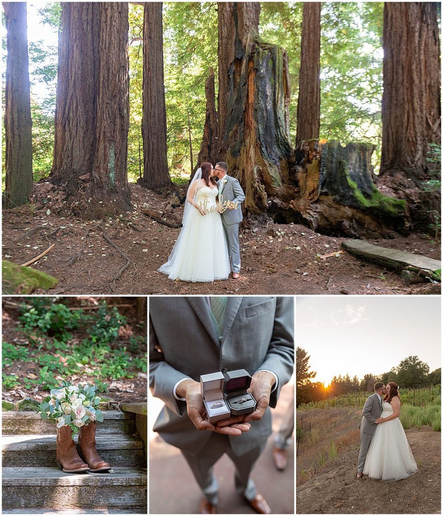 redwood ridge estate wedding in los gatos david and lauren by Jen Vazquez Photography_0083