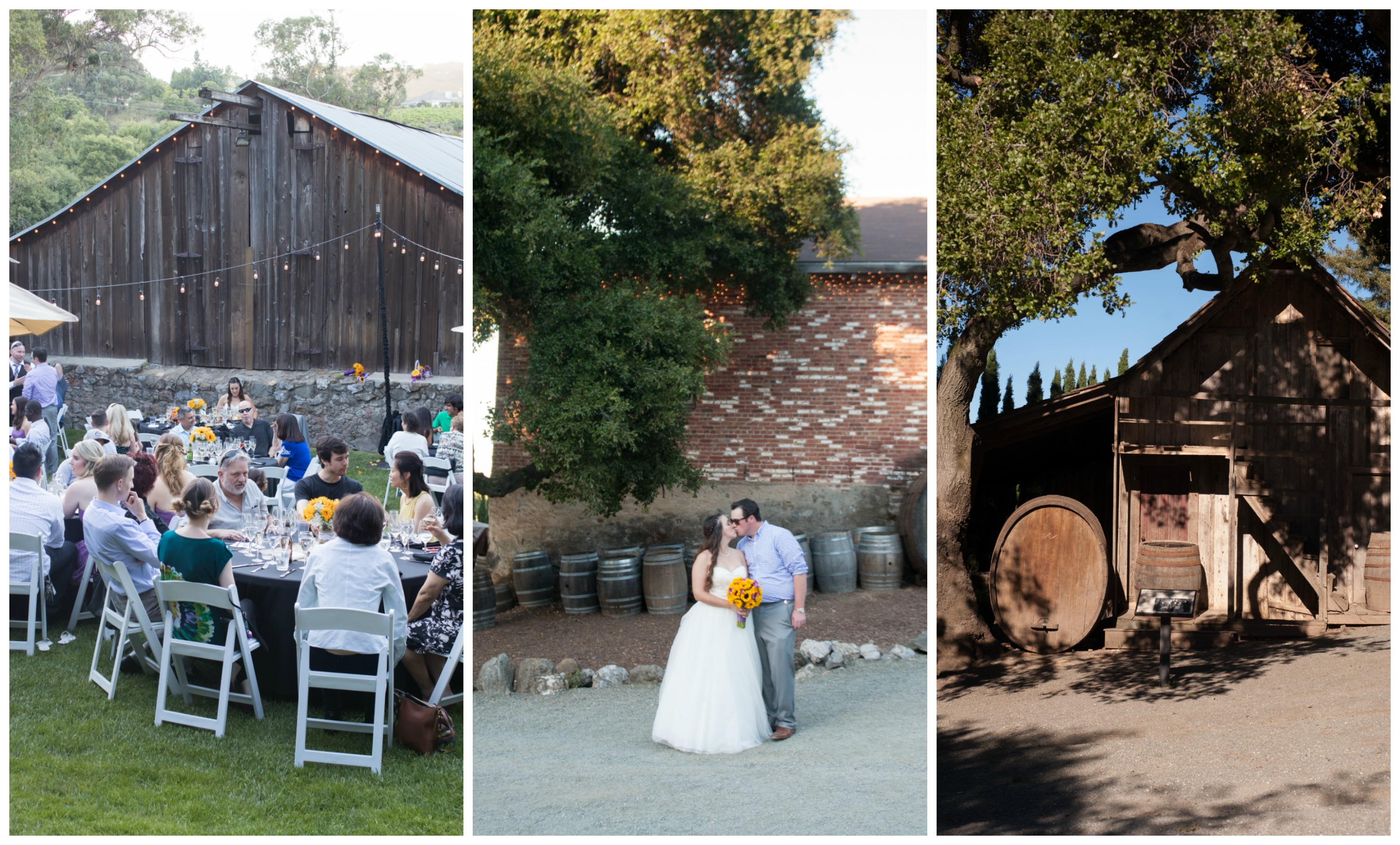 Cupertino Wedding at Picchetti Winery with Megan + DJ Location 1