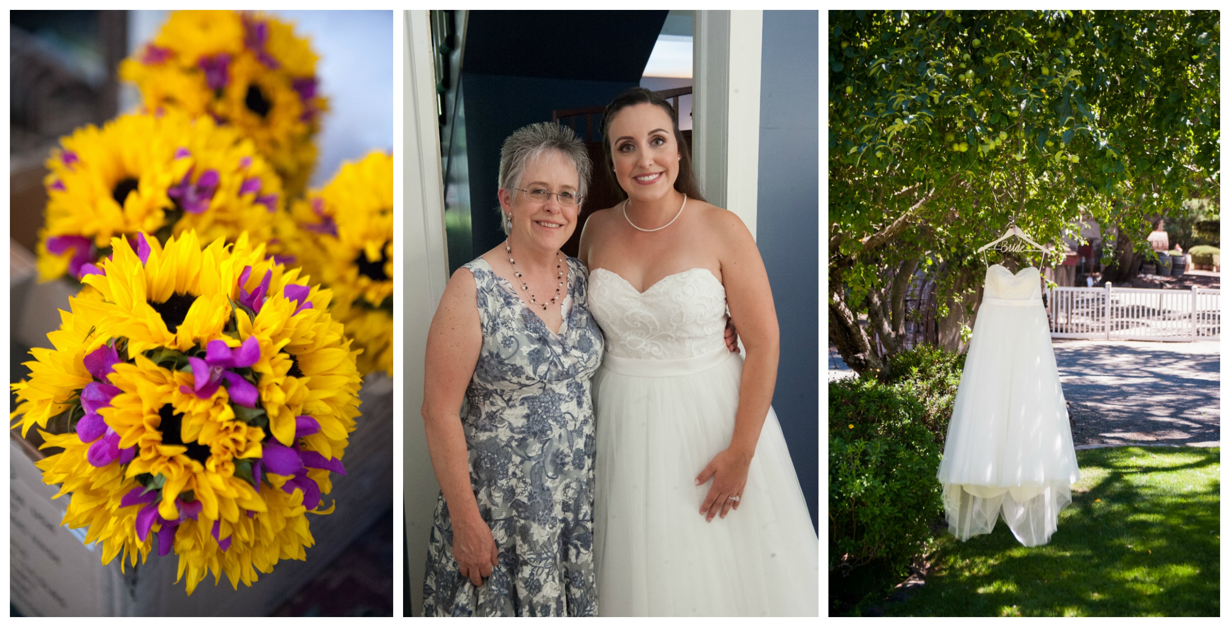 Cupertino Wedding at Picchetti Winery with Megan + DJ davids bridal