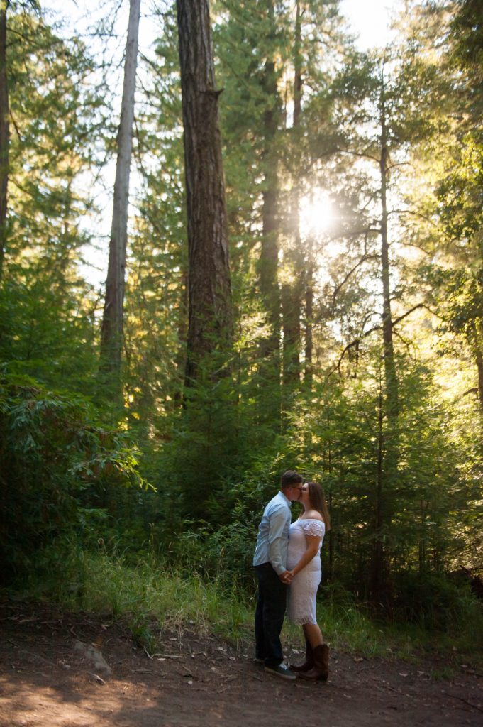 saratoga big basin engagement david - lauren 6
