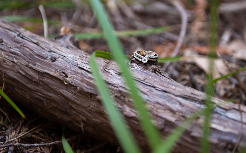 saratoga big basin engagement david - lauren 5